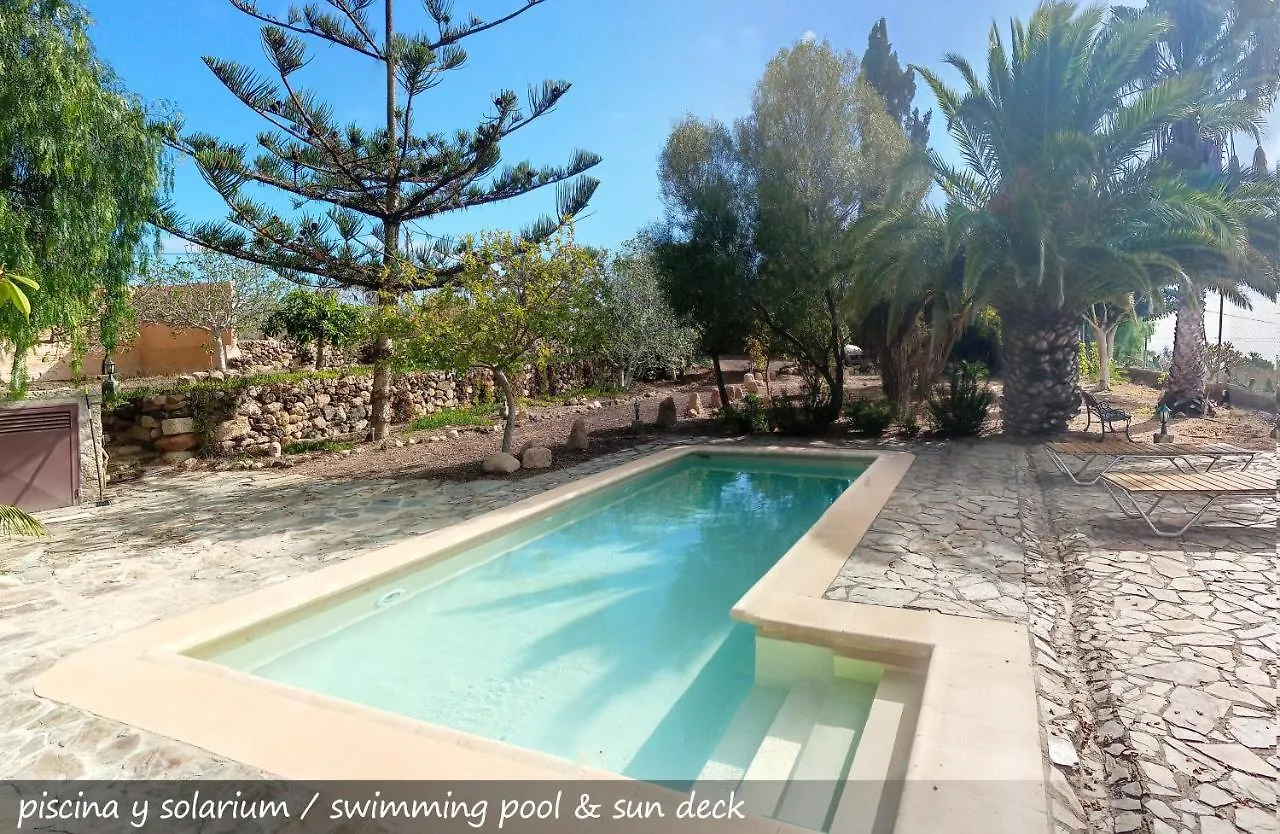 Holiday home Live Finca San Miguel San Miguel de Abona